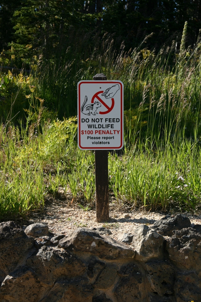 04 - Cedar Break (7).jpg